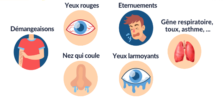 Symptômes pollens