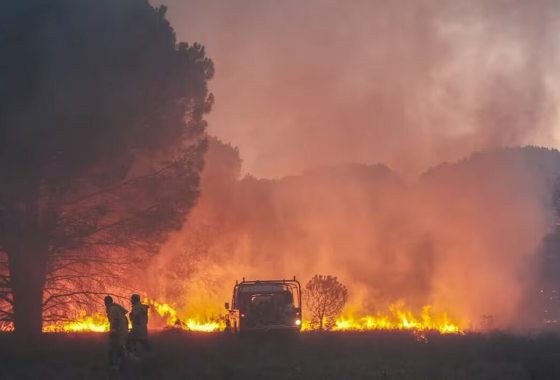 Le réchauffement climatique et la pollution de l'air